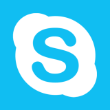 Online Meeting mit Skype - einfach auf das Icon klicken!