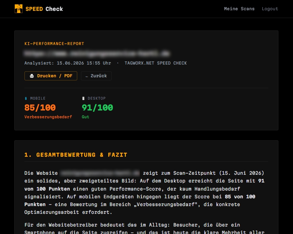 TAGWORX SPEED CHECK Report