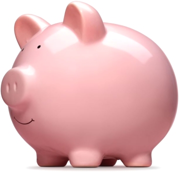 Geld fürs Internet verplempert?