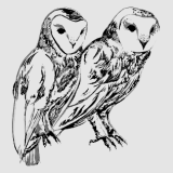 Yahoo übernimmt GhostBird Software