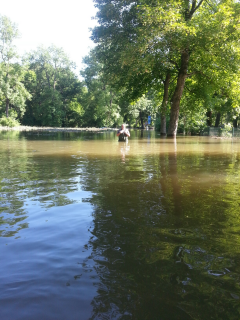 Hochwasser 2013